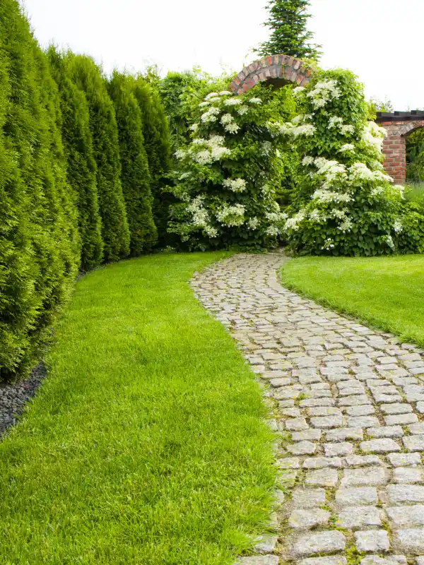 Montlu Services Service A La Personne Montlucon Jardinage Montlu Services Service A La Personne Montlucon Jardinage